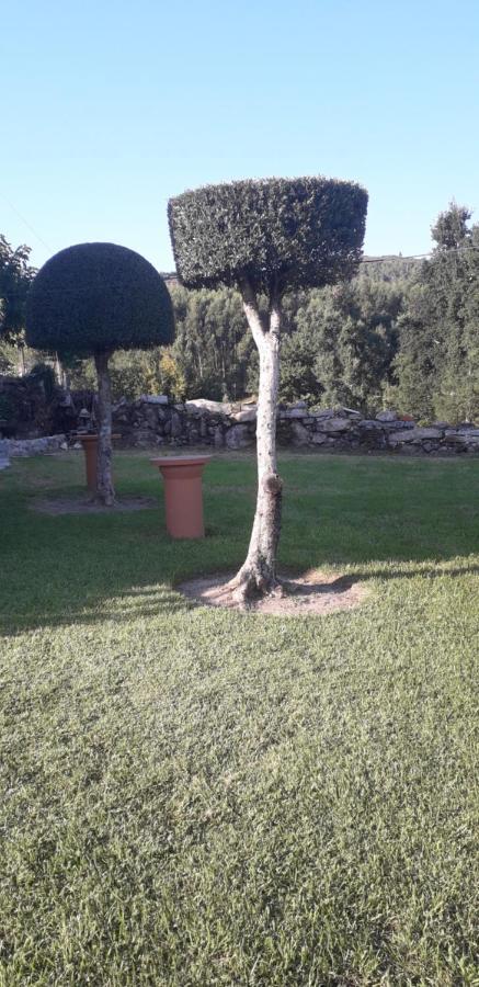 Villa Vivenda Agostinho  Arcos de Valdevez Exterior foto